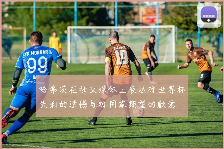 哈弗茨在社交媒体上表达对世界杯失利的遗憾与对国家期望的歉意