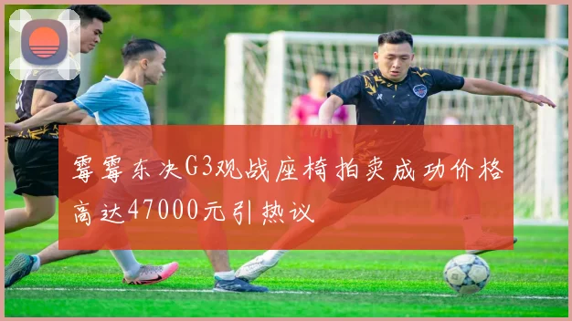 霉霉东决G3观战座椅拍卖成功价格高达47000元引热议