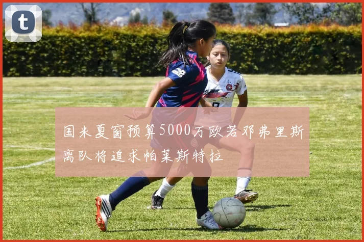 国米夏窗预算5000万欧若邓弗里斯离队将追求帕莱斯特拉